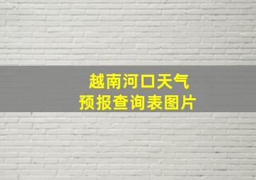 越南河口天气预报查询表图片