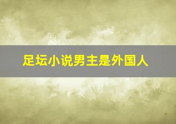 足坛小说男主是外国人