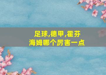 足球,德甲,霍芬海姆哪个厉害一点