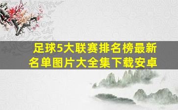 足球5大联赛排名榜最新名单图片大全集下载安卓