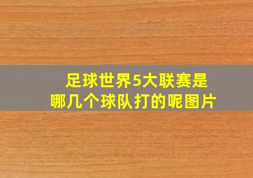 足球世界5大联赛是哪几个球队打的呢图片