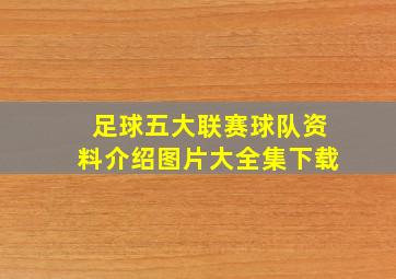 足球五大联赛球队资料介绍图片大全集下载