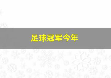 足球冠军今年