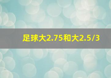 足球大2.75和大2.5/3