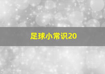 足球小常识20