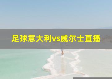 足球意大利vs威尔士直播