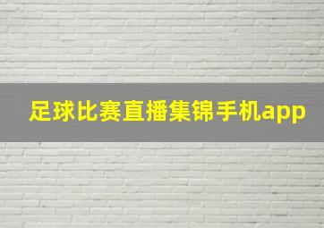 足球比赛直播集锦手机app