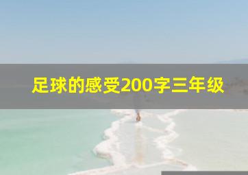 足球的感受200字三年级