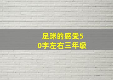 足球的感受50字左右三年级