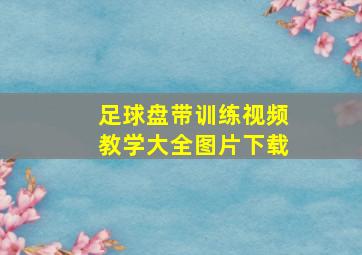 足球盘带训练视频教学大全图片下载