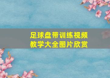 足球盘带训练视频教学大全图片欣赏