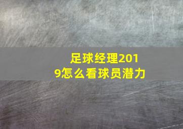 足球经理2019怎么看球员潜力