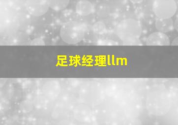 足球经理llm