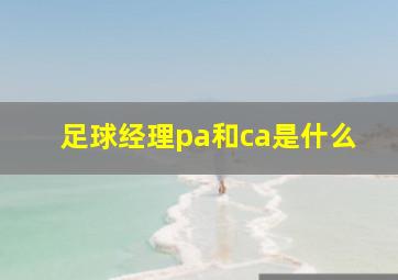 足球经理pa和ca是什么