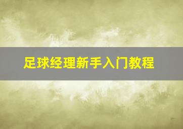 足球经理新手入门教程