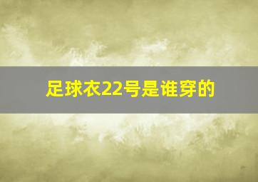 足球衣22号是谁穿的