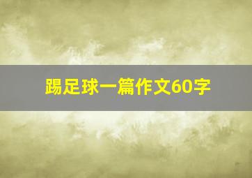 踢足球一篇作文60字