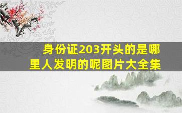 身份证203开头的是哪里人发明的呢图片大全集