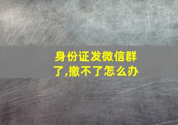 身份证发微信群了,撤不了怎么办