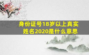 身份证号18岁以上真实姓名2020是什么意思