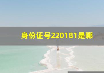 身份证号220181是哪