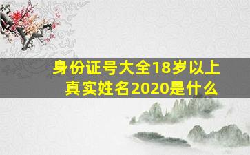 身份证号大全18岁以上真实姓名2020是什么