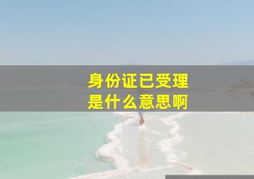 身份证已受理是什么意思啊