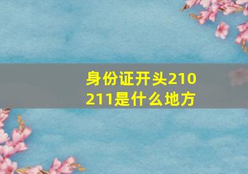 身份证开头210211是什么地方