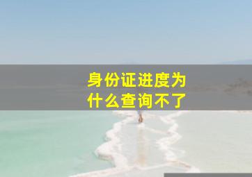 身份证进度为什么查询不了