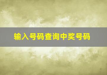 输入号码查询中奖号码