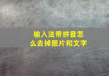 输入法带拼音怎么去掉图片和文字