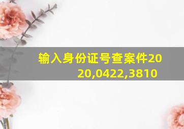 输入身份证号查案件2020,0422,3810