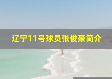 辽宁11号球员张俊豪简介