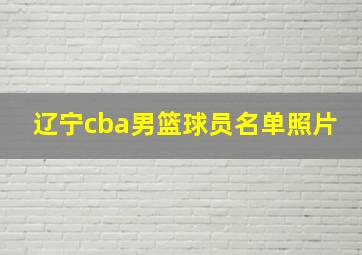 辽宁cba男篮球员名单照片