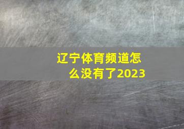 辽宁体育频道怎么没有了2023