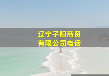 辽宁子阳商贸有限公司电话