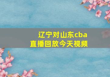 辽宁对山东cba直播回放今天视频