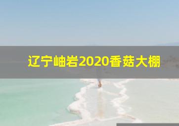 辽宁岫岩2020香菇大棚