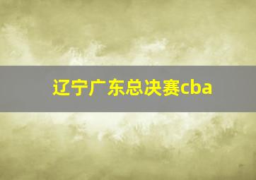 辽宁广东总决赛cba