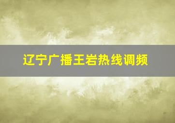 辽宁广播王岩热线调频