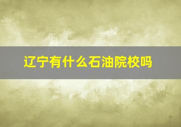 辽宁有什么石油院校吗