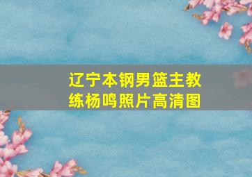 辽宁本钢男篮主教练杨鸣照片高清图