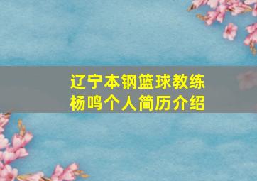 辽宁本钢篮球教练杨鸣个人简历介绍