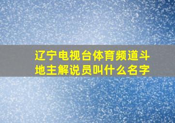 辽宁电视台体育频道斗地主解说员叫什么名字