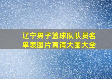 辽宁男子篮球队队员名单表图片高清大图大全