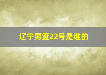 辽宁男篮22号是谁的