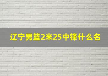 辽宁男篮2米25中锋什么名