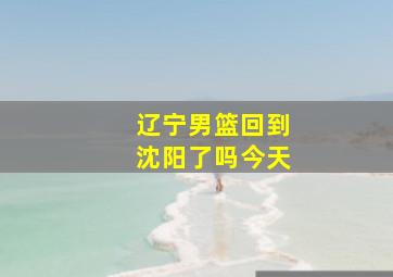 辽宁男篮回到沈阳了吗今天