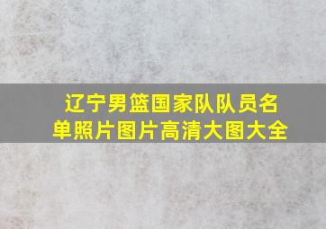 辽宁男篮国家队队员名单照片图片高清大图大全