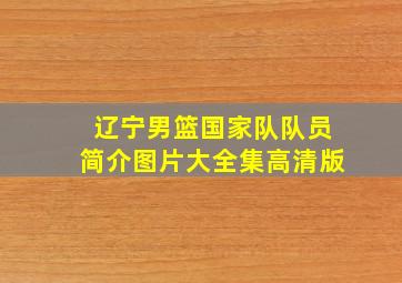 辽宁男篮国家队队员简介图片大全集高清版